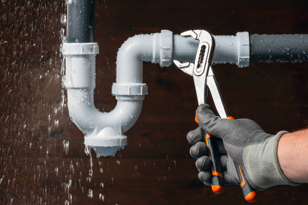 Professional Plumbing technician working in Thrall, TX